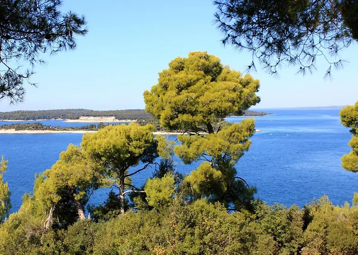 With Wifi Stinjan, - 24743 아파트