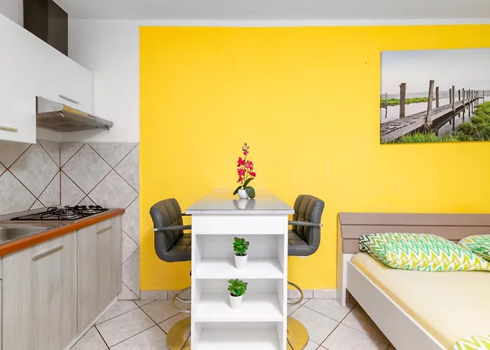 With Wifi Stinjan, - 24743 풀라