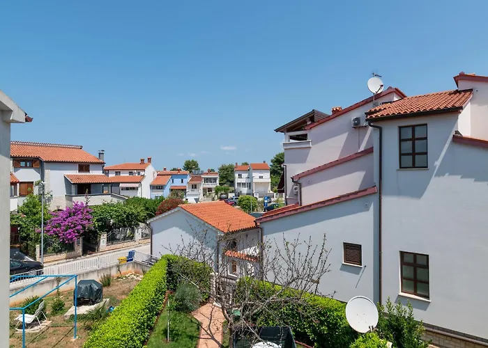 With Wifi Stinjan, - 24743 * 풀라